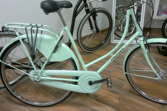 Hollandrad in Mint